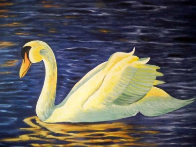 SWAN